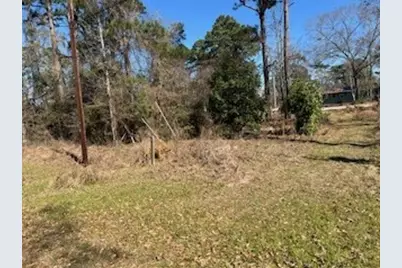 171 Cherry Tree, Livingston, TX 77351 - Photo 2