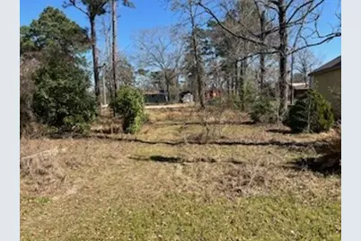 171 Cherry Tree, Livingston, TX 77351 - Photo 4