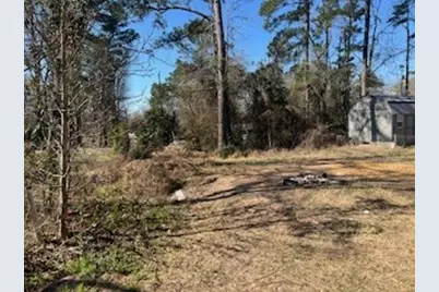 171 Cherry Tree, Livingston, TX 77351 - Photo 6