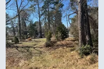 171 Cherry Tree, Livingston, TX 77351 - Photo 8
