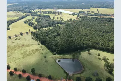 Tbd Lakeland Ranch Lot 278, Hillister, TX 77624 - Photo 8