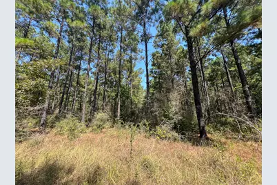T-3 Fm 256, Woodville, TX 75979 - Photo 20