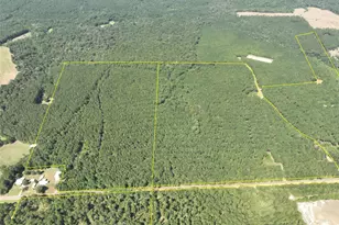 T-3 Fm 256, Woodville, TX 75979 - Photo 1