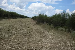 36847 Richard Frey 1-9 Rd, Hempstead, TX 77445 - Photo 8