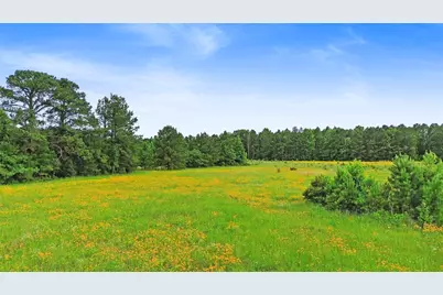 877 Josserand Road, Woodlake, TX 75865 - Photo 8