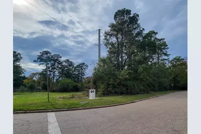 1101 Gladstell Street, Conroe, TX 77304 - Photo 20