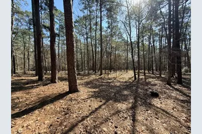 2, 220 & 7 Helena, Altwood Drive, Coldspring, TX 77331 - Photo 8