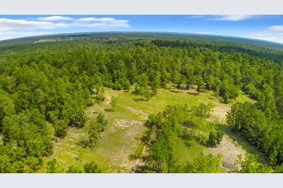 2231 County Road 3550, Woodville, TX 75979 - Photo 40