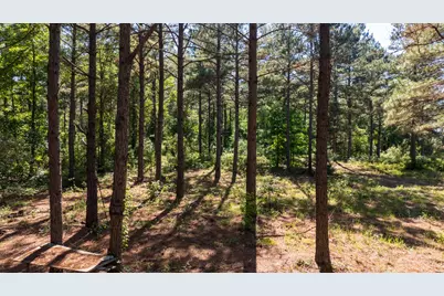 00 00 Fm 3016, Grapeland, TX 75844 - Photo 26