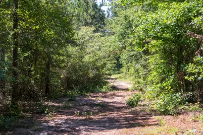 00 00 Fm 3016, Grapeland, TX 75844 - Photo 2