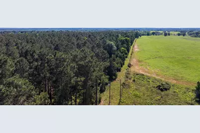 00 00 Fm 3016, Grapeland, TX 75844 - Photo 30