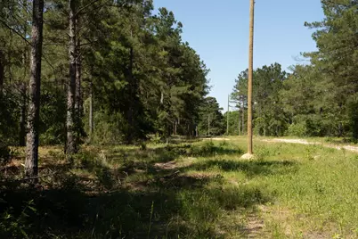00 00 Fm 3016, Grapeland, TX 75844 - Photo 34