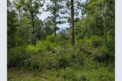 161 Ludies Drive, Livingston, TX 77351 - Photo 2