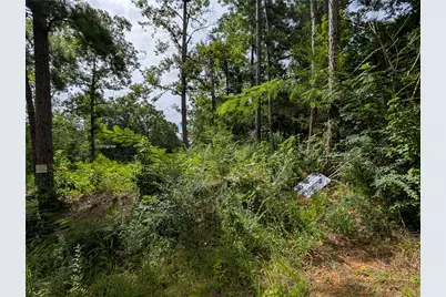 161 Ludies Drive, Livingston, TX 77351 - Photo 4