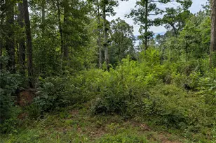 161 Ludies Dr, Livingston, TX 77351 - Photo 1