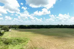 Tbd Fm 413, Kosse, TX 76653 - Photo 6