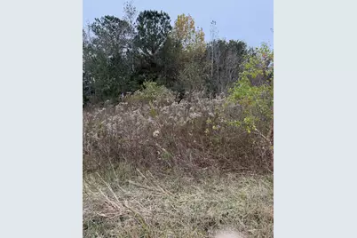 0 County Road 605, Dayton, TX 77535 - Photo 10