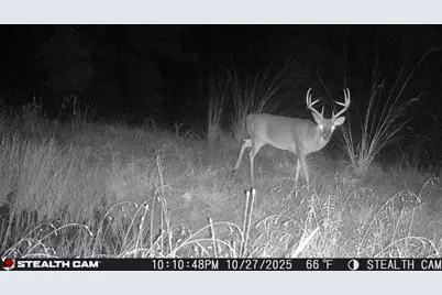 0 0 Private Rd Behind Airport, Woodville, TX 75979 - Photo 26