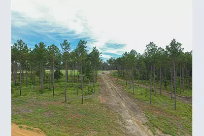 009 Nelson Dr, Livingston, TX 77351 - Photo 6