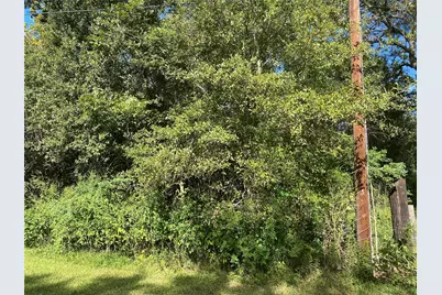 2653 County Road 348, Brazoria, TX 77422 - Photo 2
