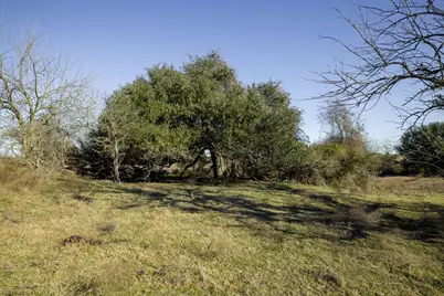 Tbd Mockingbird Road, Brenham, TX 77833 - Photo 4