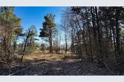 Tbd #7 County Road 477, Henderson, TX 75654 - Photo 14