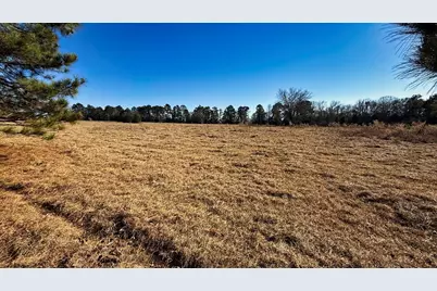 Tbd #7 County Road 477, Henderson, TX 75654 - Photo 22