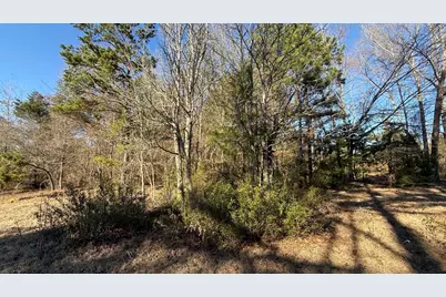 Tbd #7 County Road 477, Henderson, TX 75654 - Photo 10