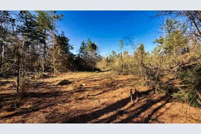 Tbd #7 County Road 477, Henderson, TX 75654 - Photo 20