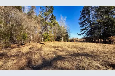 Tbd #7 County Road 477, Henderson, TX 75654 - Photo 2