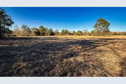 Tbd #7 County Road 477, Henderson, TX 75654 - Photo 4