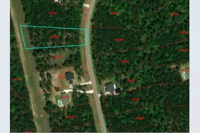 273 Dipping Vat Road, Huntsville, TX 77340 - Photo 2