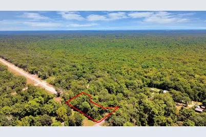 141 County Road 431, Dayton, TX 77535 - Photo 20