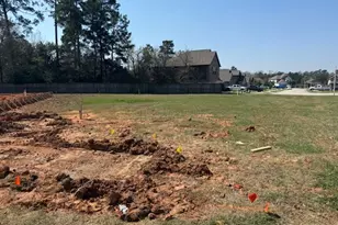 3202 Elm Bough Ct, Conroe, TX 77301 - Photo 18