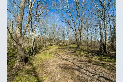 11201 County Road 203, Plantersville, TX 77363 - Photo 44