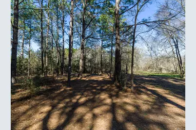 11201 County Road 203, Plantersville, TX 77363 - Photo 42