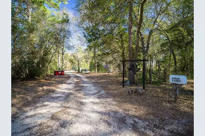 11201 County Road 203, Plantersville, TX 77363 - Photo 4