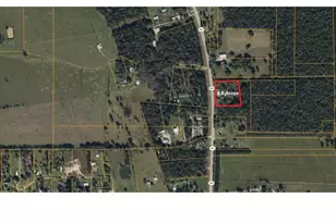 10438 Hwy 321, Dayton, TX 77535 - Photo 1