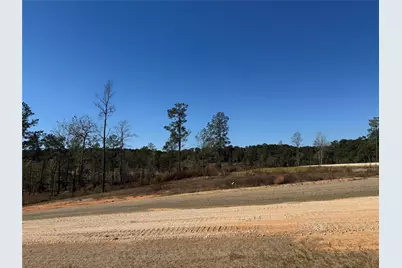 Lot 126 Tranquility Road, Livingston, TX 77351 - Photo 8