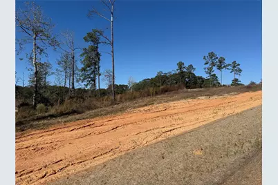 Lot 126 Tranquility Road, Livingston, TX 77351 - Photo 10