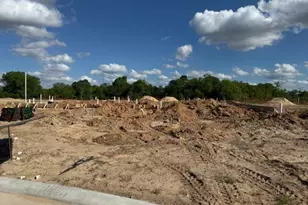 19146 Apple Fritter, Manvel, TX 77578 - Photo 8