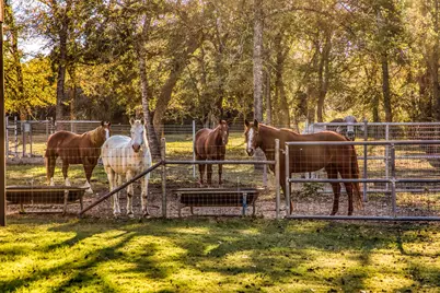 39761 Mesquite, Hempstead, TX 77445 - Photo 20