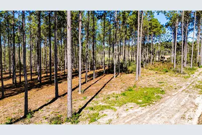 141516 Big Buck Drive, Moscow, TX 75960 - Photo 4