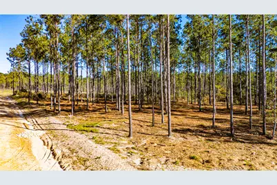 141516 Big Buck Drive, Moscow, TX 75960 - Photo 8