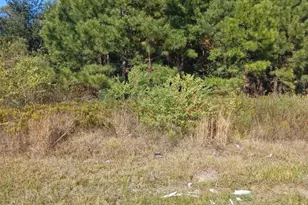 179 County Road 3550, Cleveland, TX 77327 - Photo 10