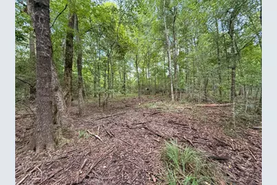 Tbd Hwy 90 N, Devers, TX 77538 - Photo 46