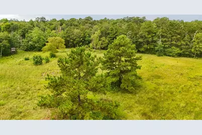 Tbd Hwy 90 N, Devers, TX 77538 - Photo 12