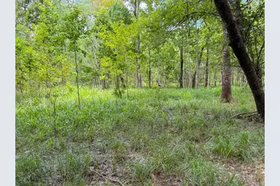 Tbd Hwy 90 N, Devers, TX 77538 - Photo 38