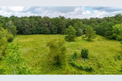 Tbd Hwy 90 N, Devers, TX 77538 - Photo 4
