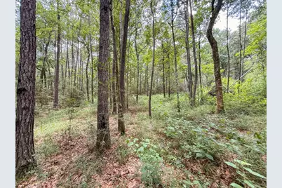Tbd Hwy 90 N, Devers, TX 77538 - Photo 44